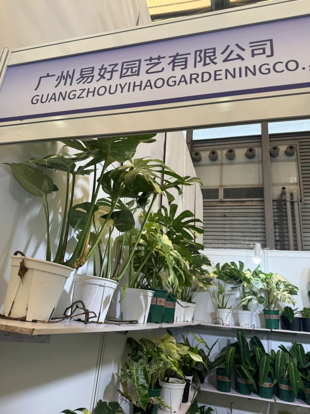 ?易好园艺·集赞升级豪礼