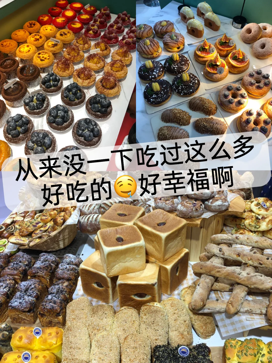免费蹭吃蹭喝?上海5月烘焙展逛展攻略