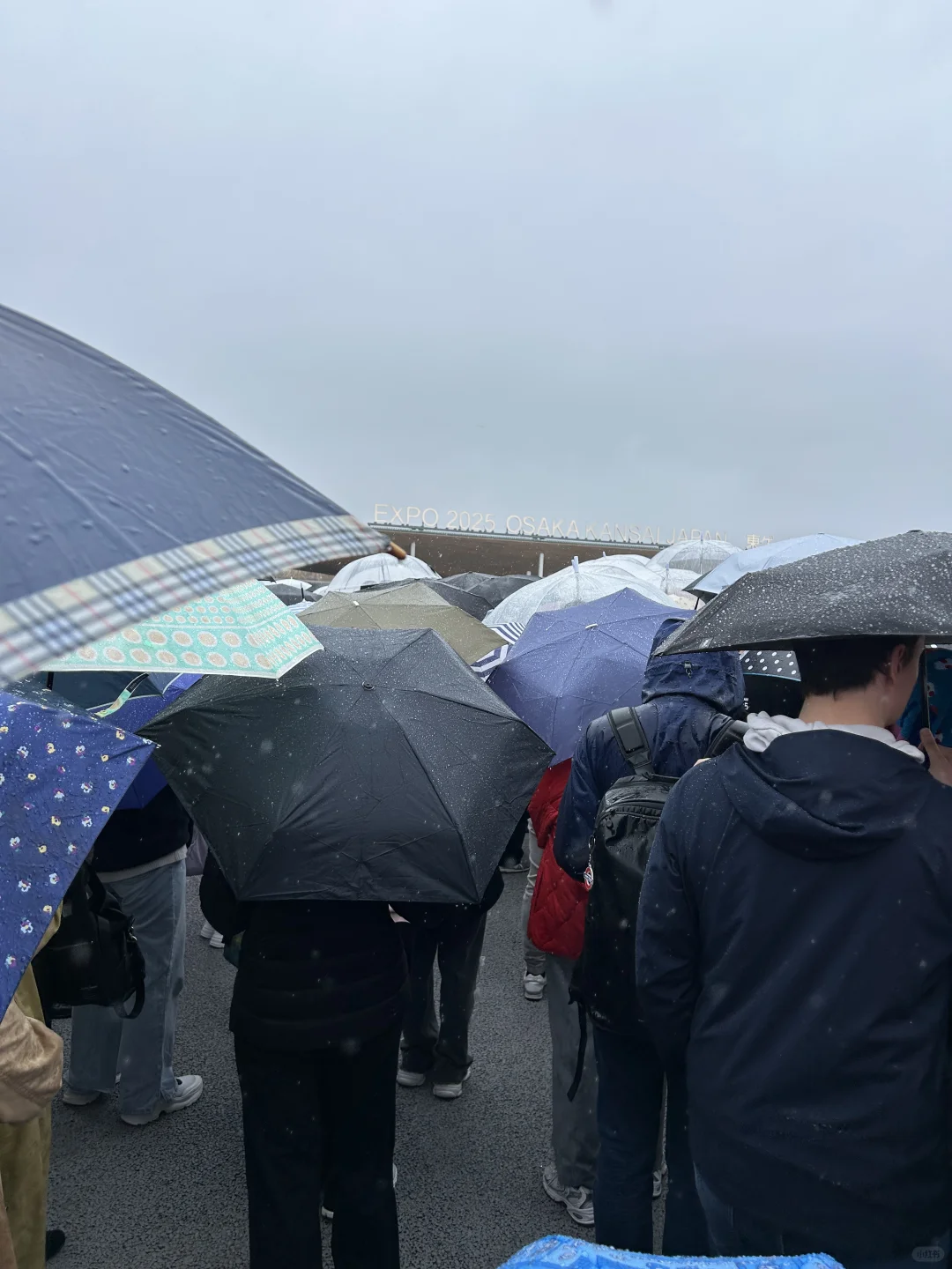 日本世博会第一天 还没进场的快逃！！??️
