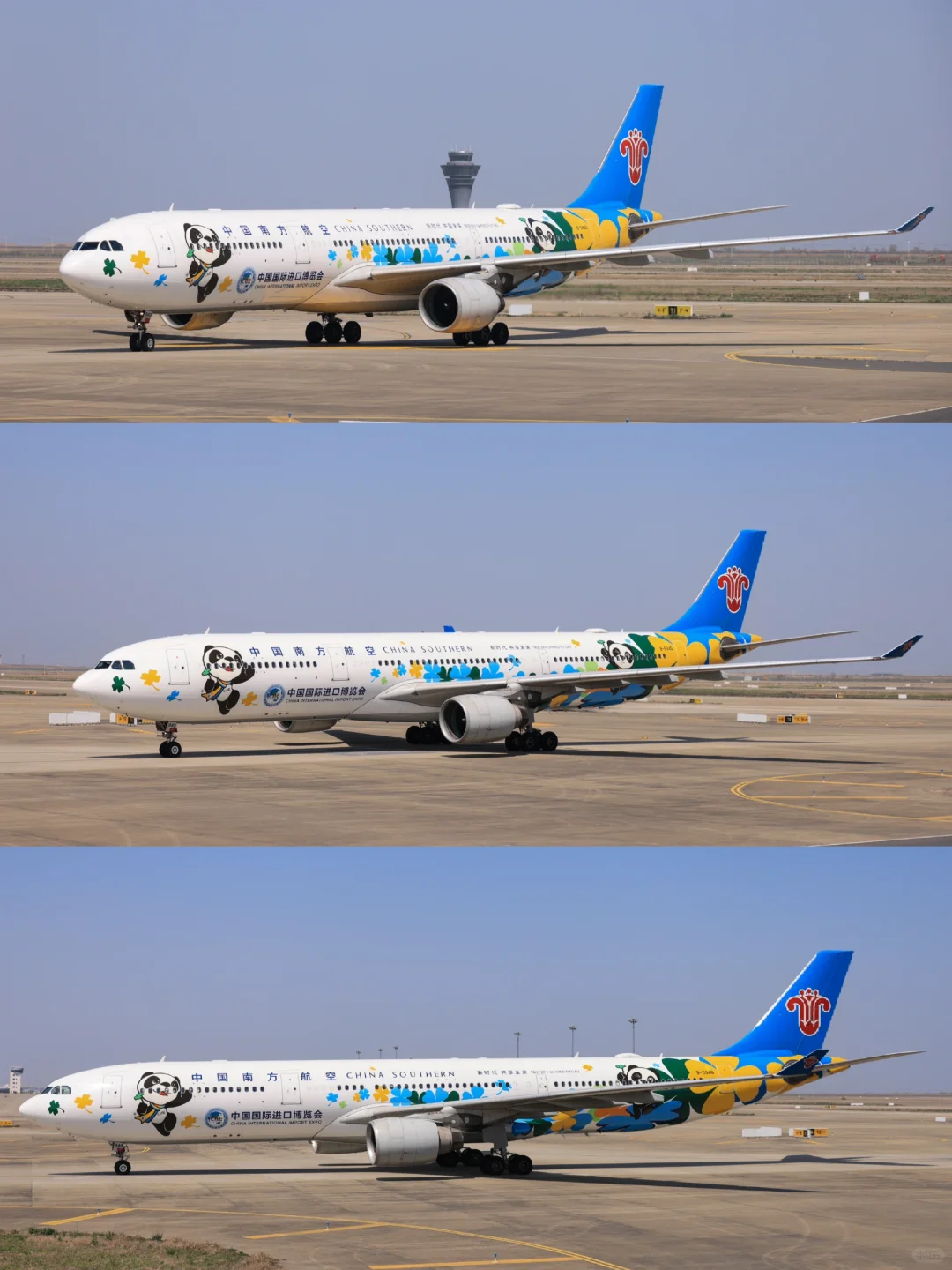 南方航空B5940：中国国际进口博览会彩绘