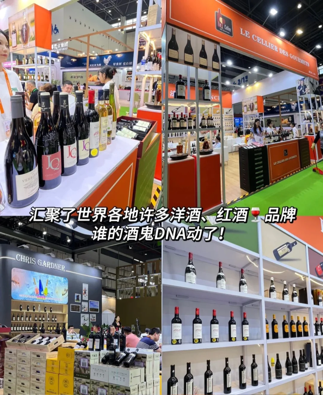我眼中的消博会 | 全球好物大赏?