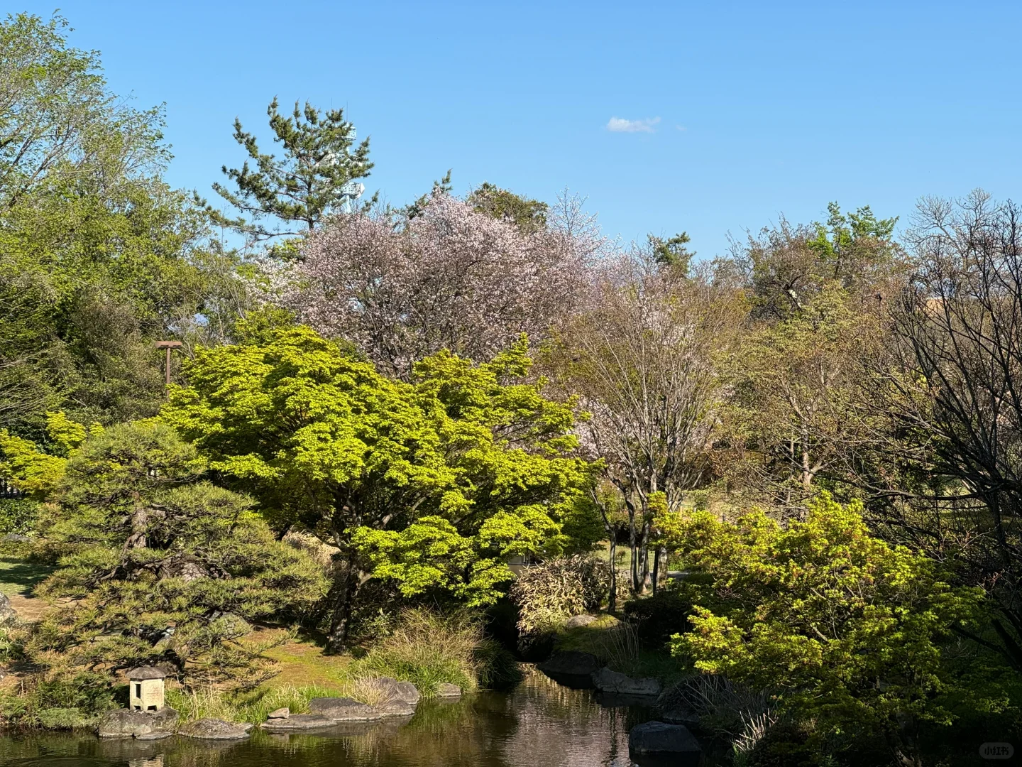 山梨県県立美術館:米勒展