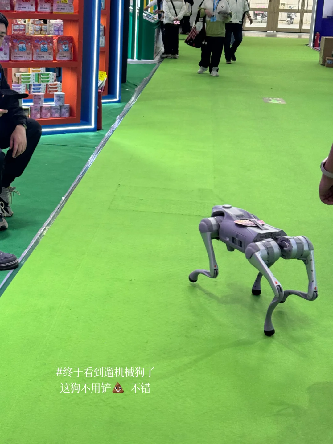 京宠展攻略|显眼包打猎圆满归来?