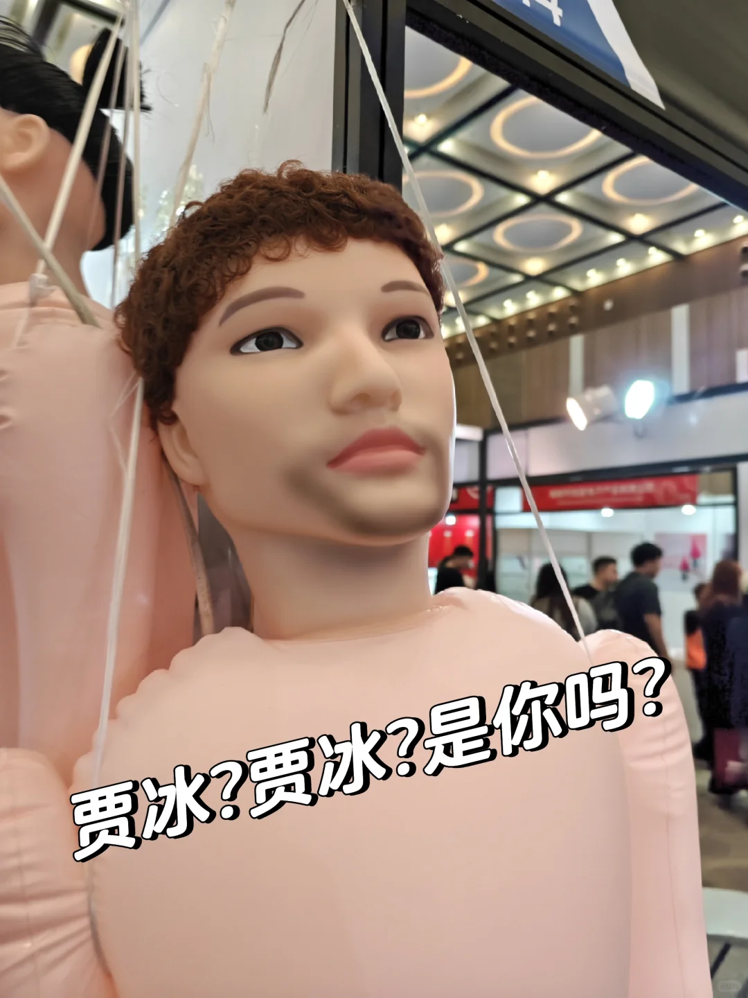 阿美丽卡我问你,??的受众是哪些人