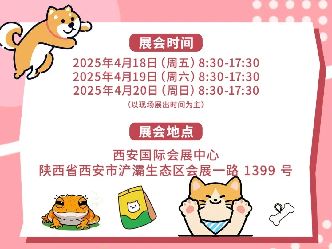 西北西安宠物展功略！三天通票！