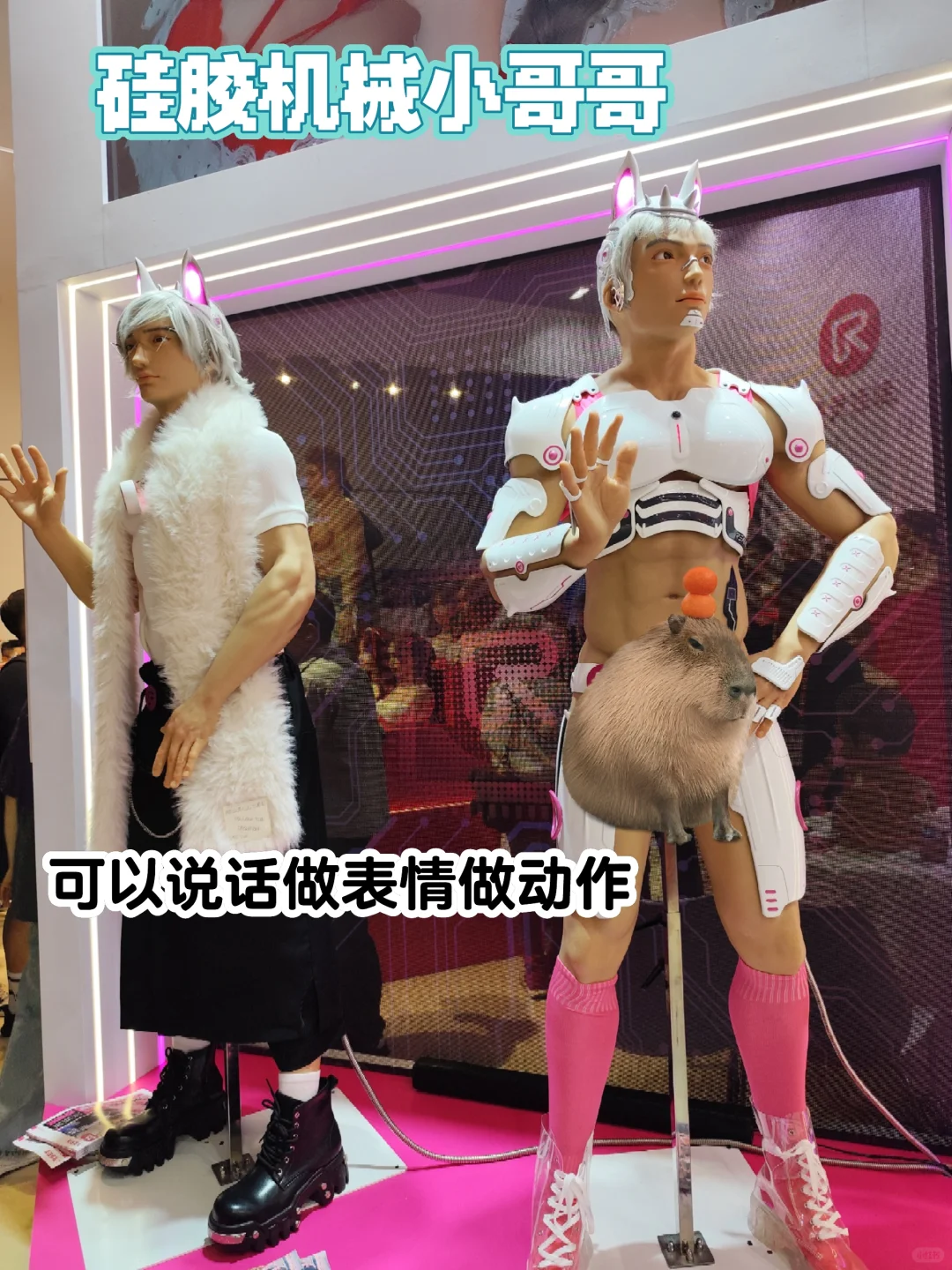 阿美丽卡我问你,??的受众是哪些人