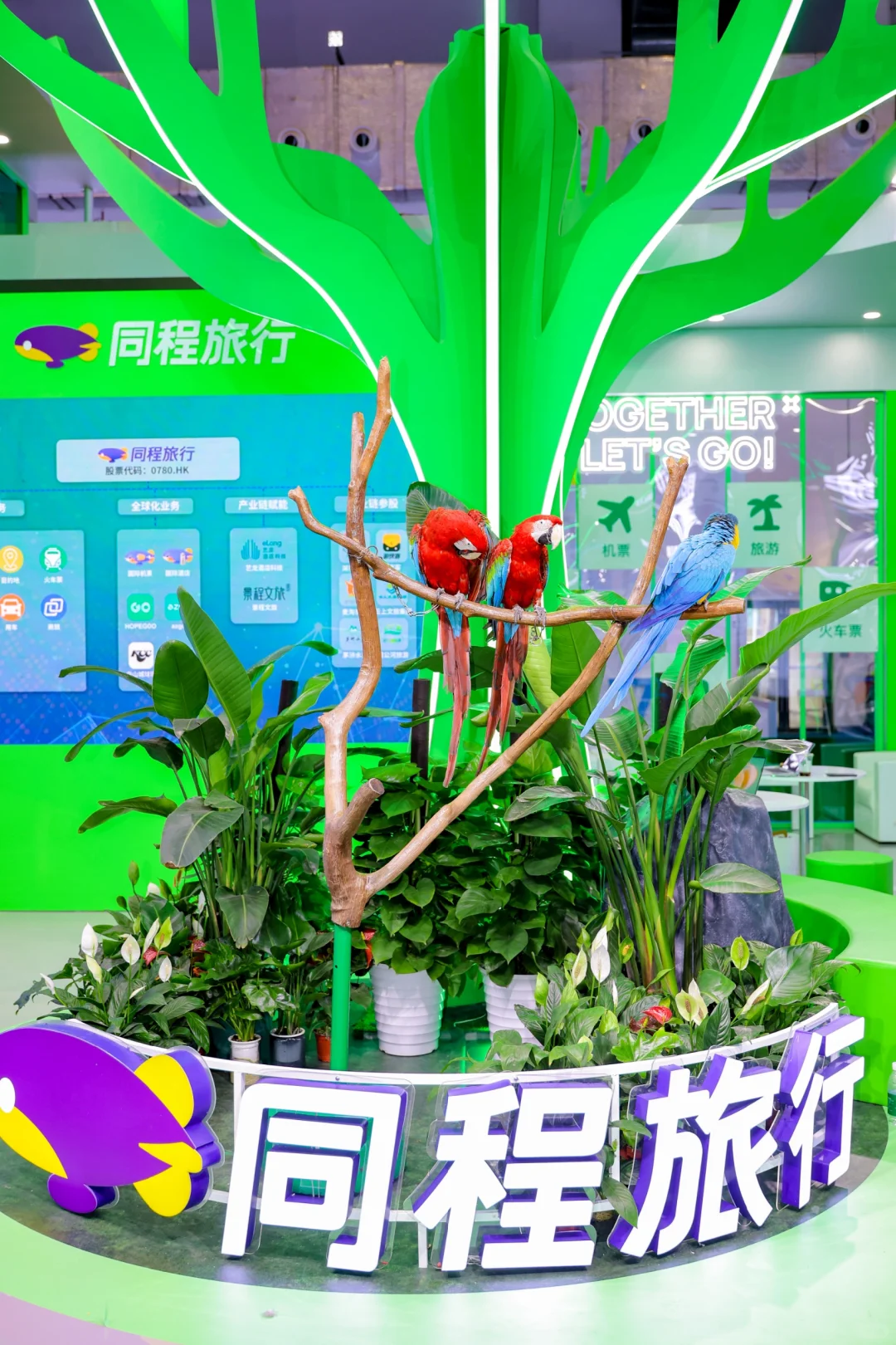 第五届消博会盛大开启，门票?送！