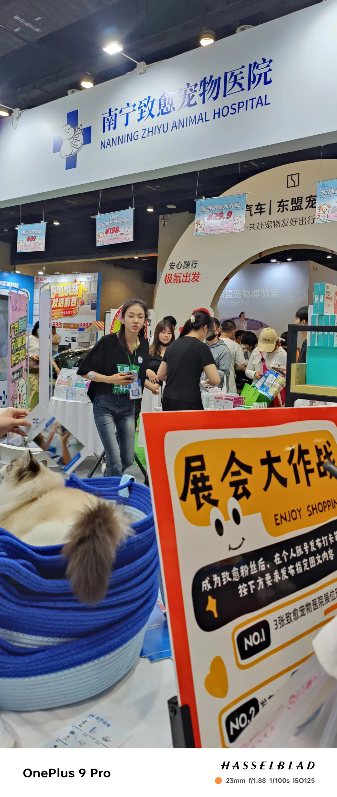 打卡东盟宠物博览会