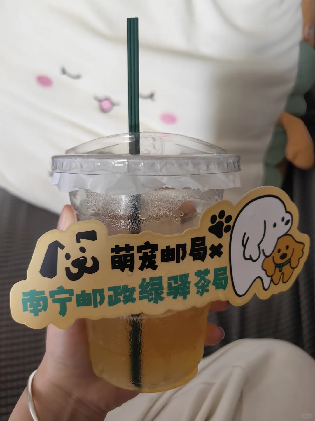 南宁宠物博览会！战绩可查