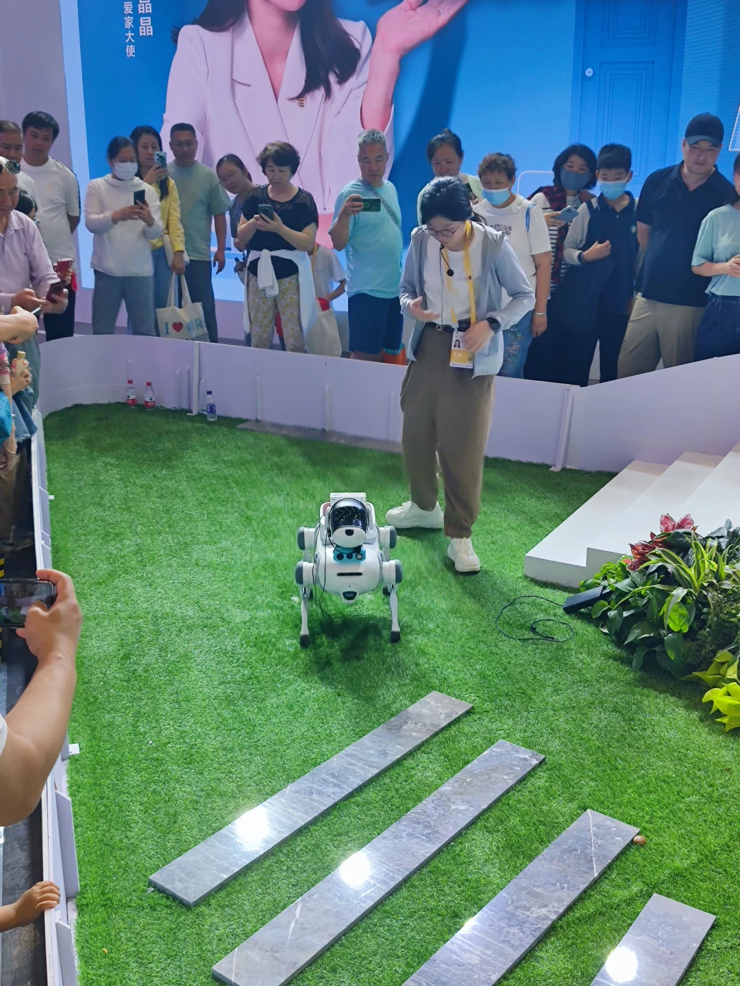 ?这么火爆的消博会，你真的不来打卡吗❓