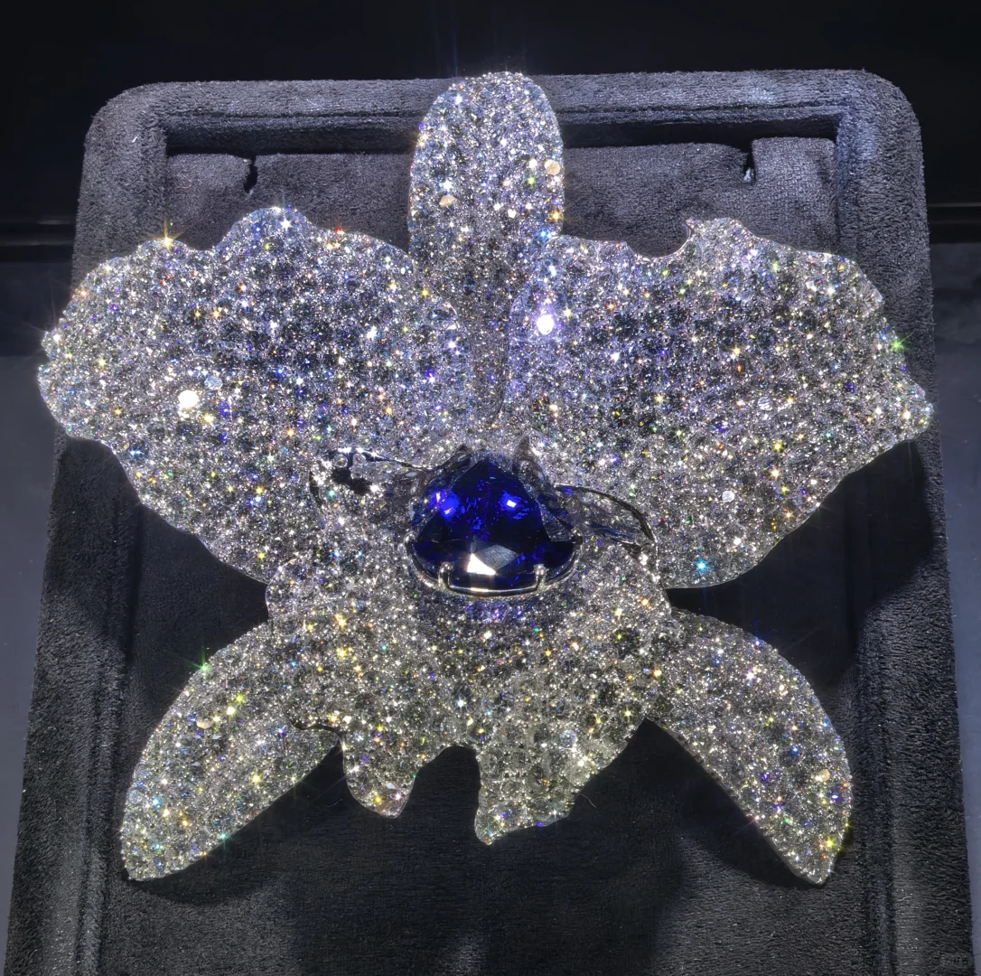 快来海南消博会感受珠宝豪车纸醉金迷的快乐