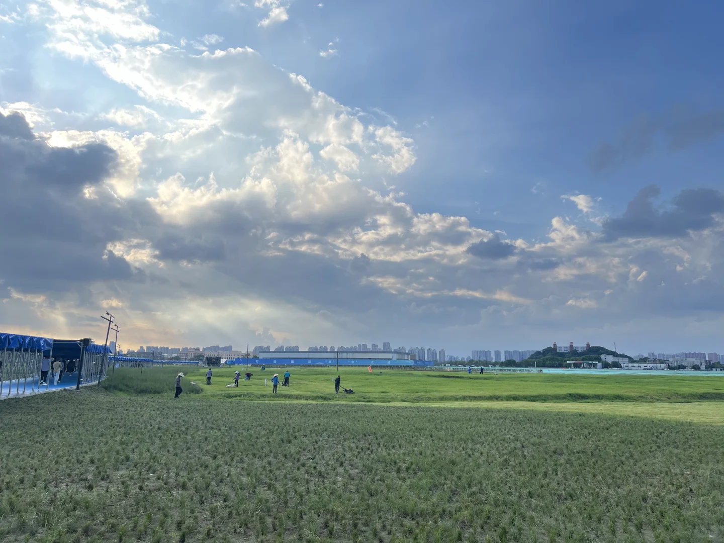 大草原上的cp30，来踩点了