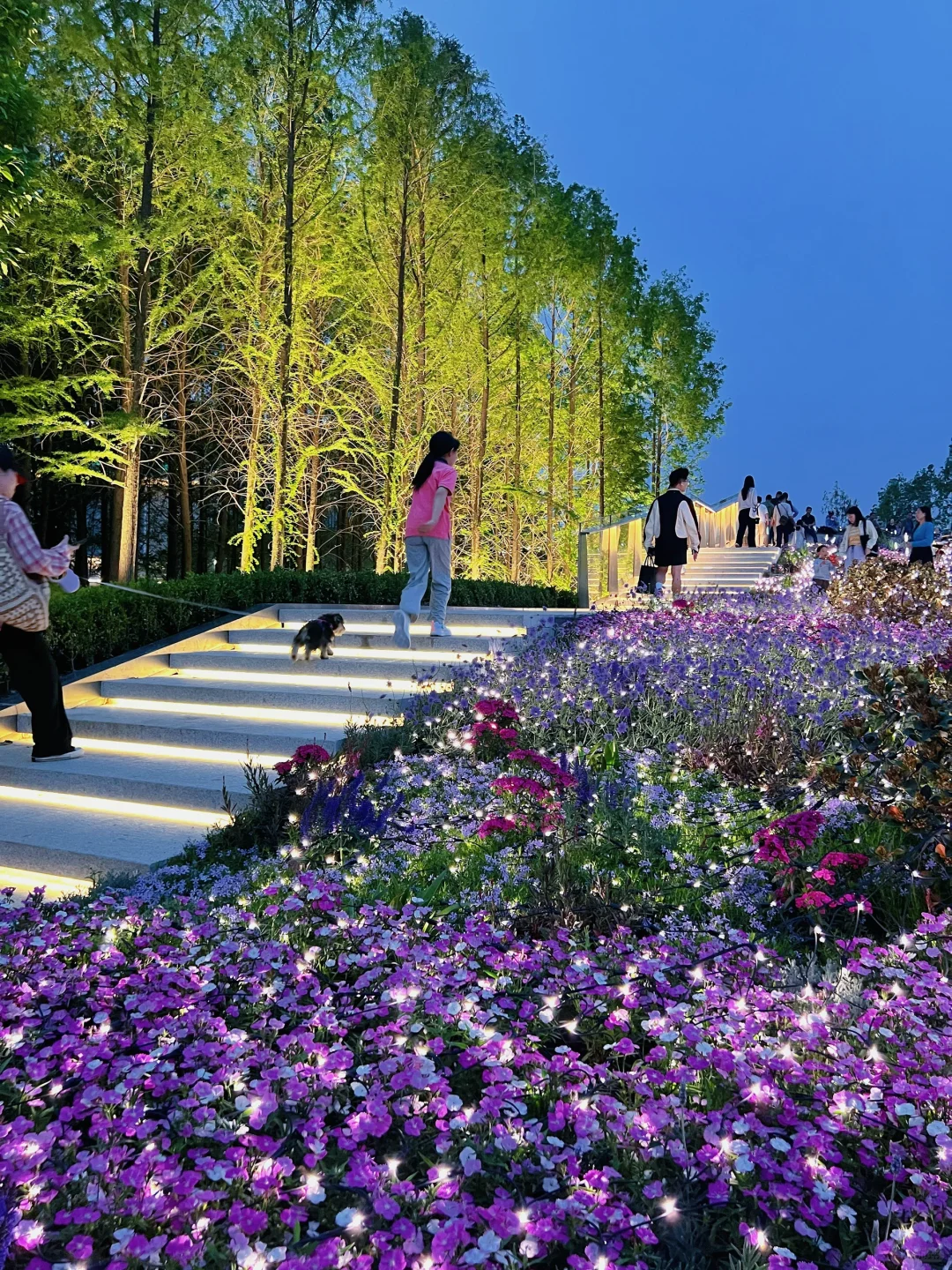 春日欢迎会｜上海花展简直莫奈花园+爱乐之城