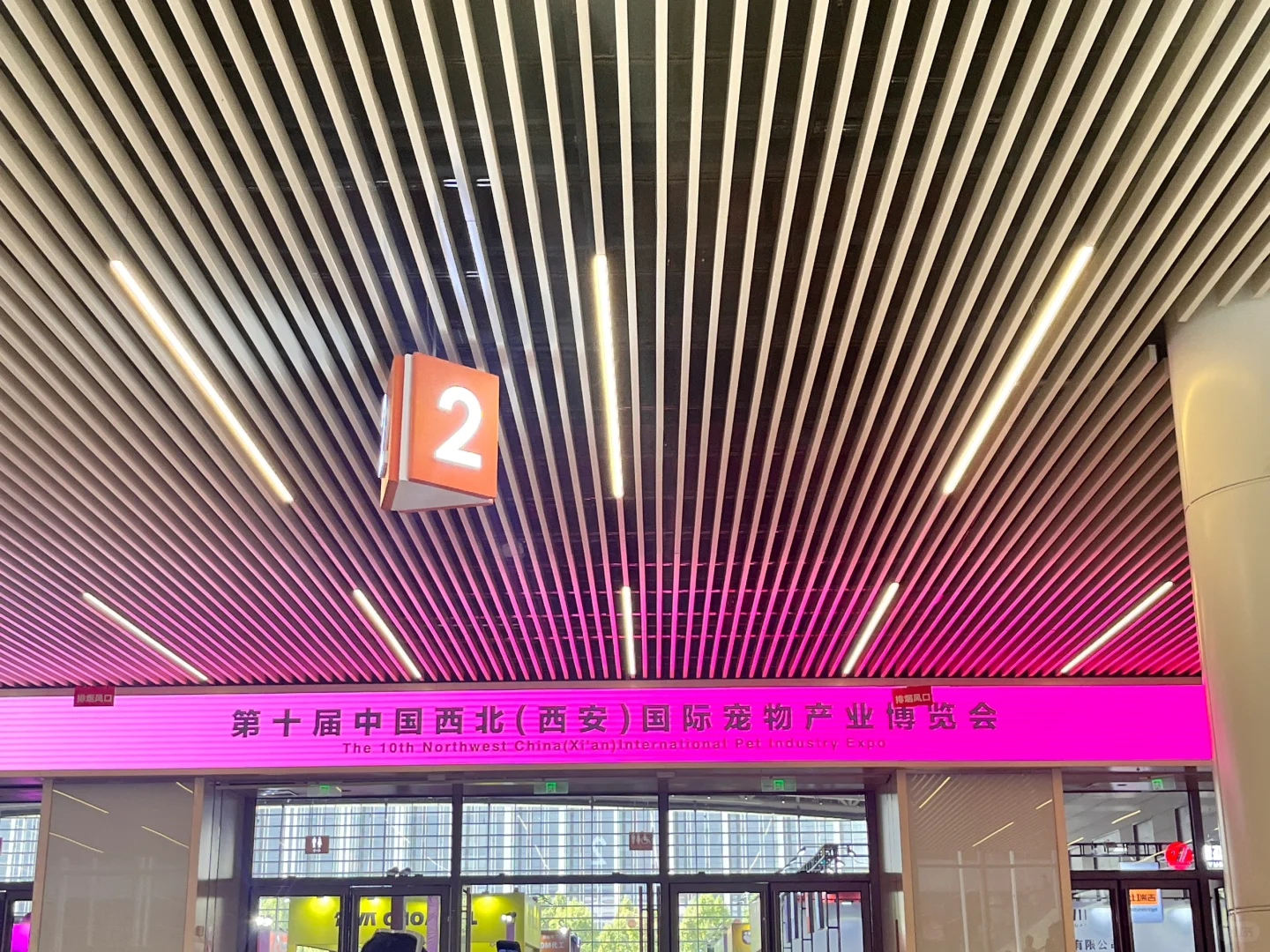 西安宠物博览会好有意思！