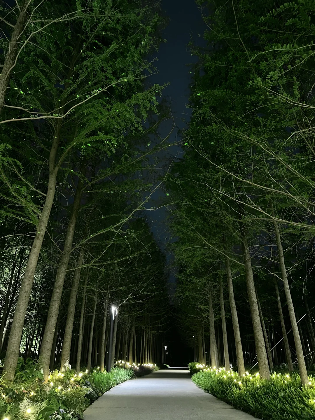 春日欢迎会｜上海花展简直莫奈花园+爱乐之城