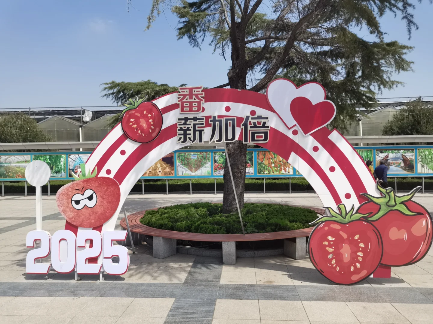 寿光蔬菜博览会攻略