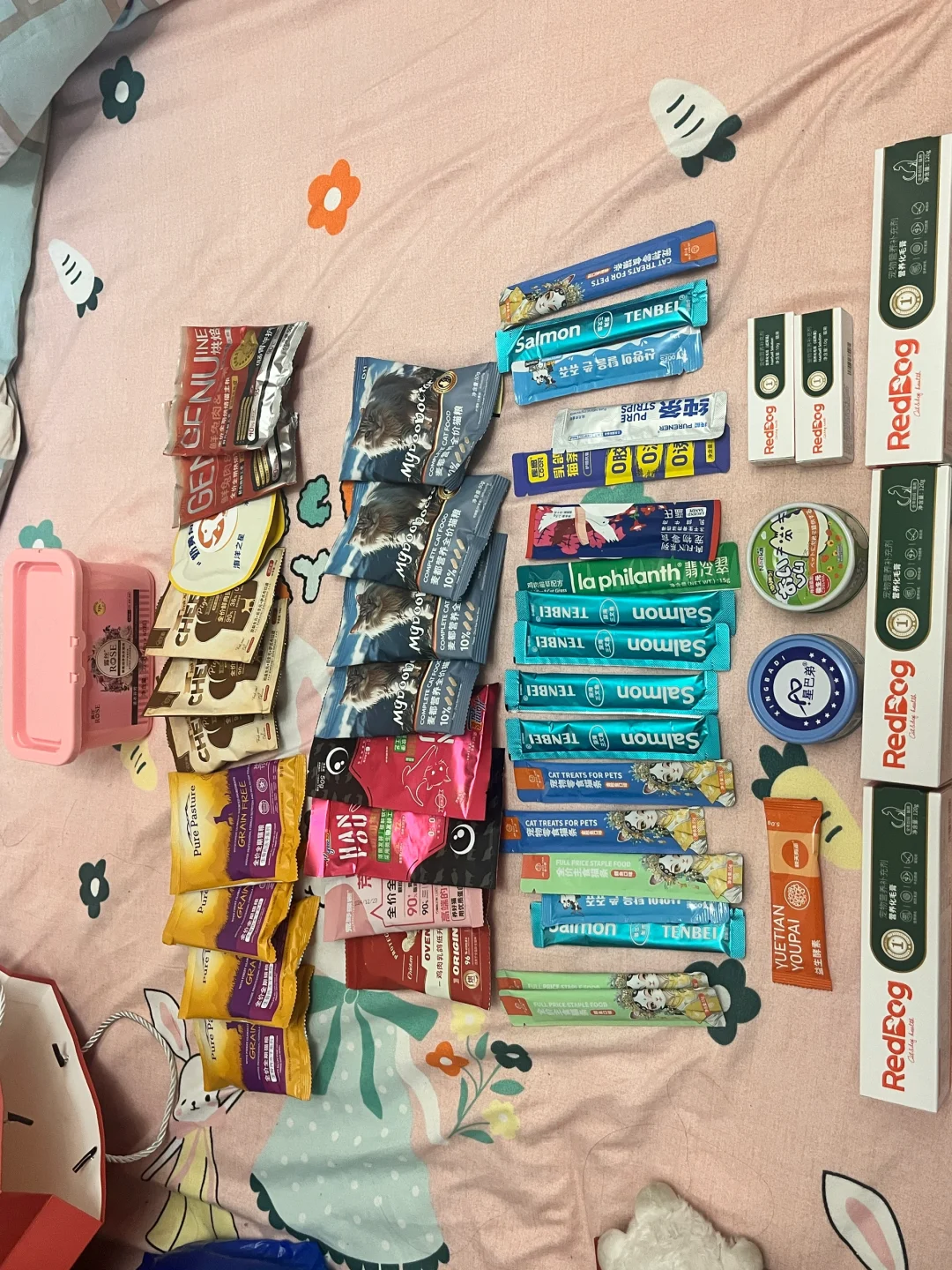 西安宠物博览会好有意思！