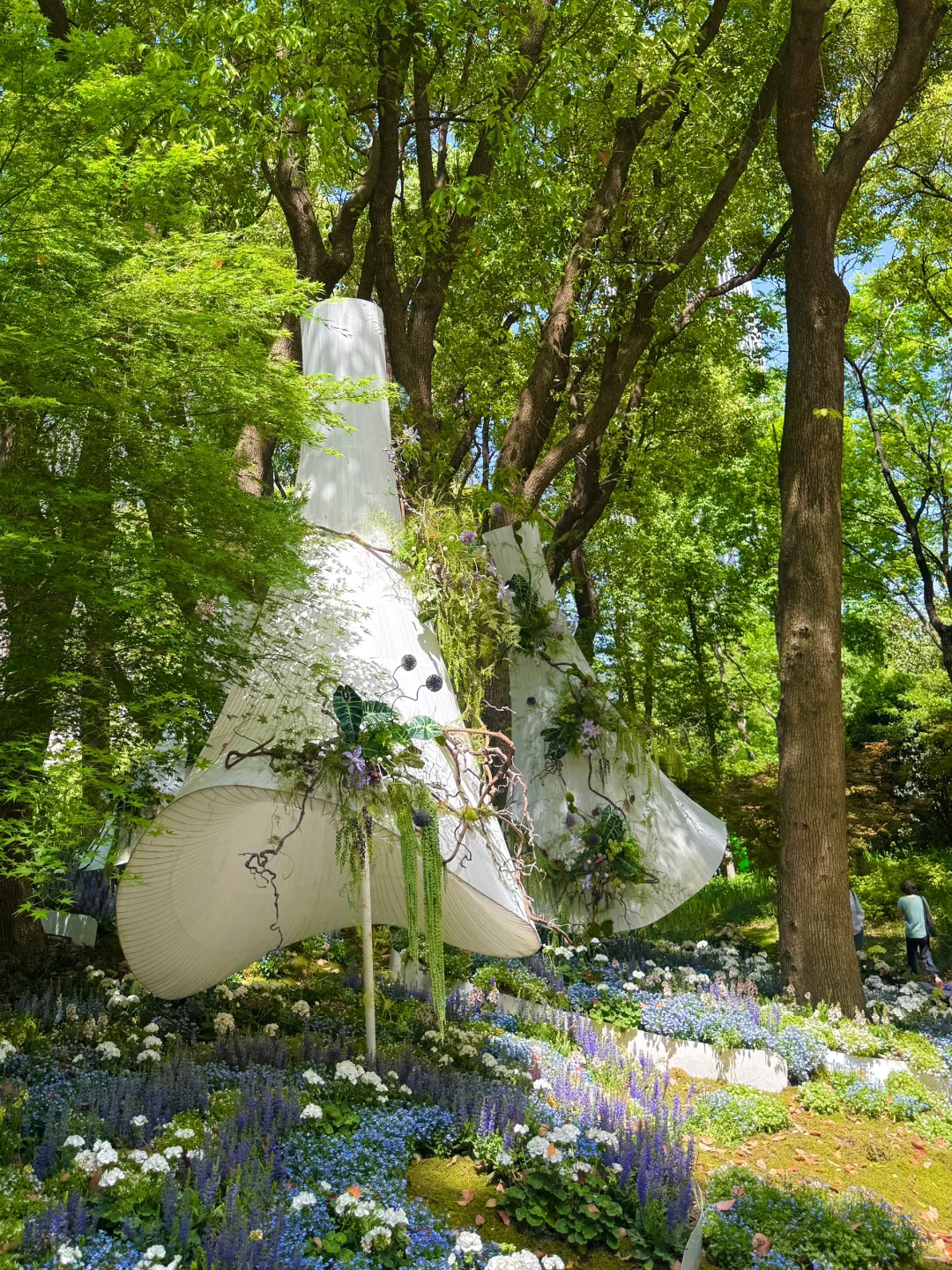魔都看展｜春日必看展?城市中心的莫奈花园