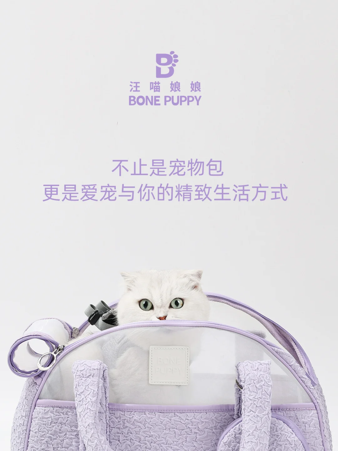 它博会?再加码！别错过啦????