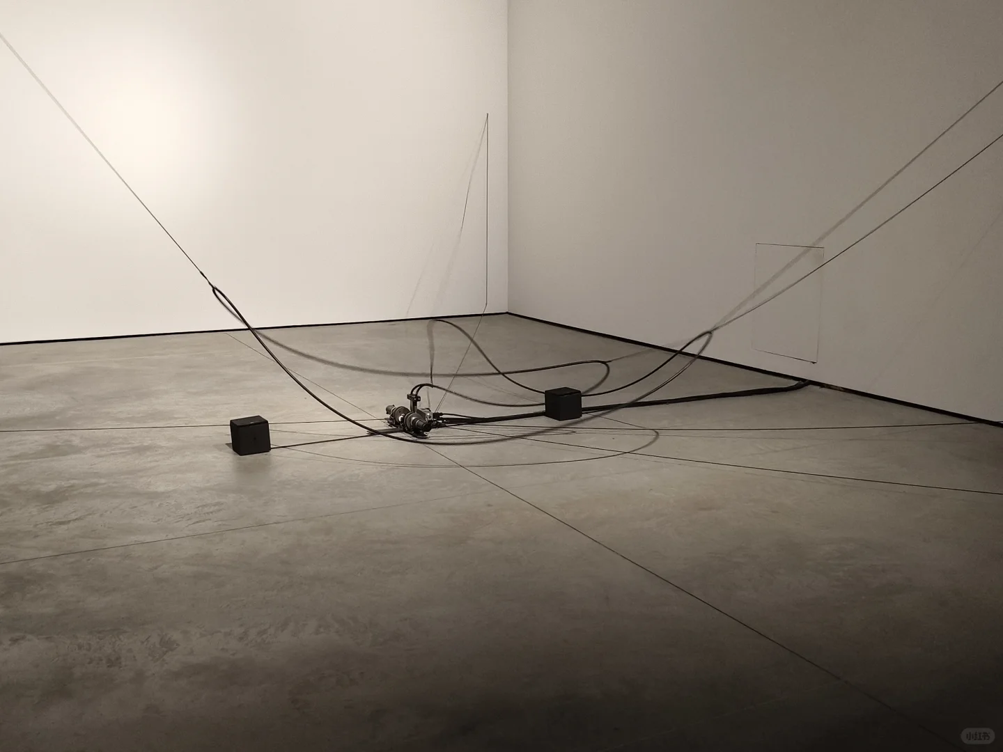 观展日记：“征候｜视界”双年展