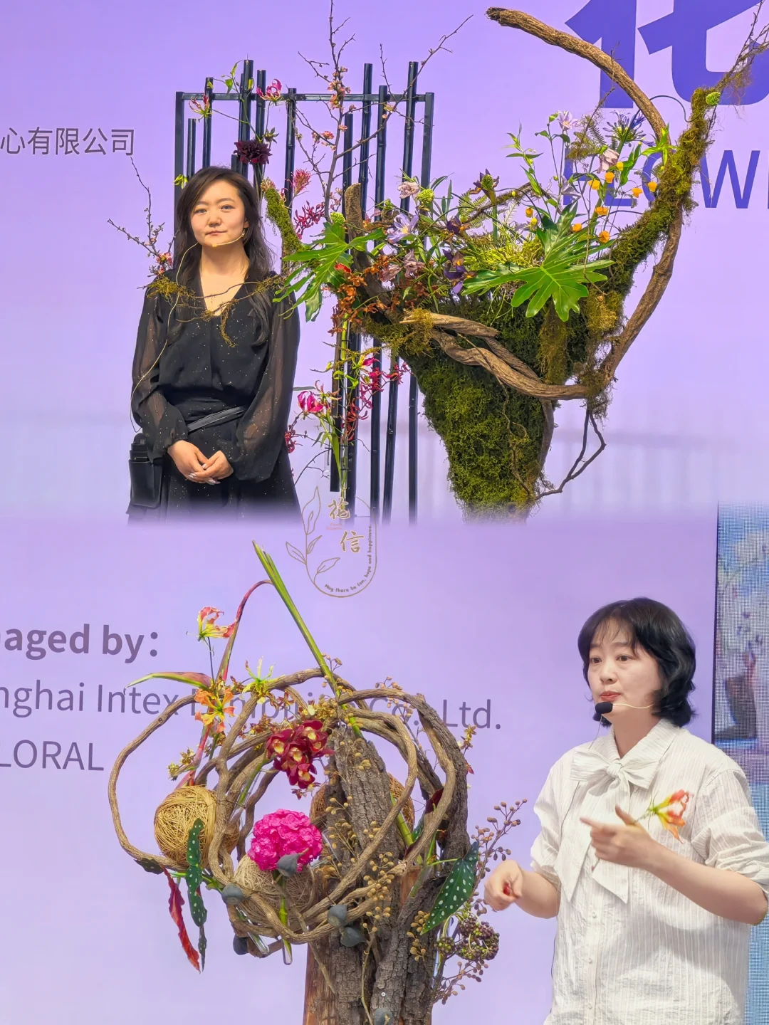 第27届国际花卉园艺博览会，变化还是明显的