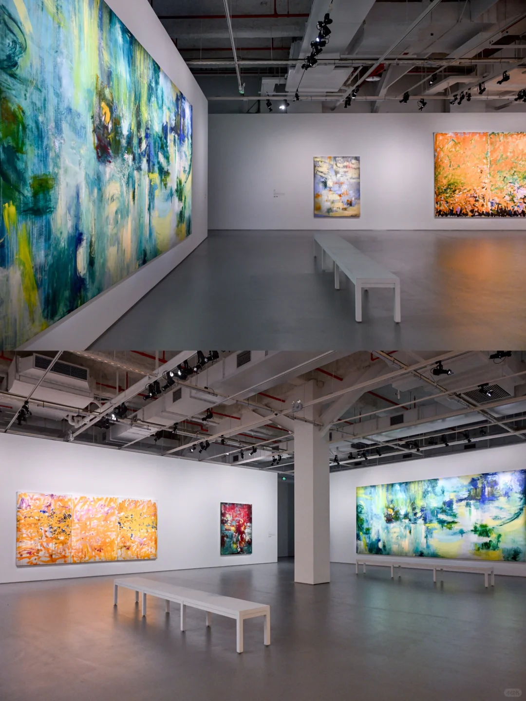 北京新展❗️LV艺术空间展览《自然之绘》