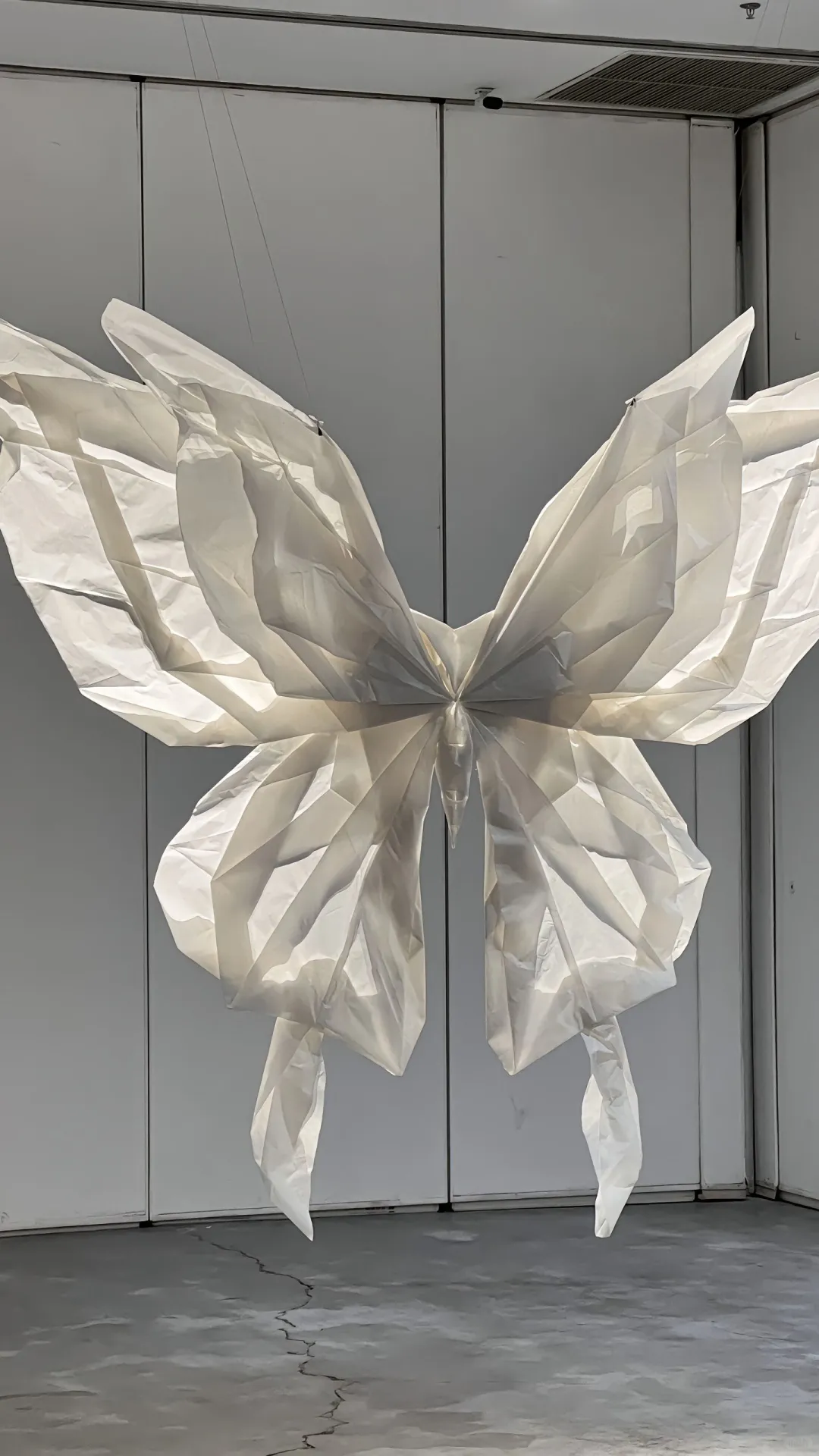 大连新展即将来袭!策展人请300位博主看展!
