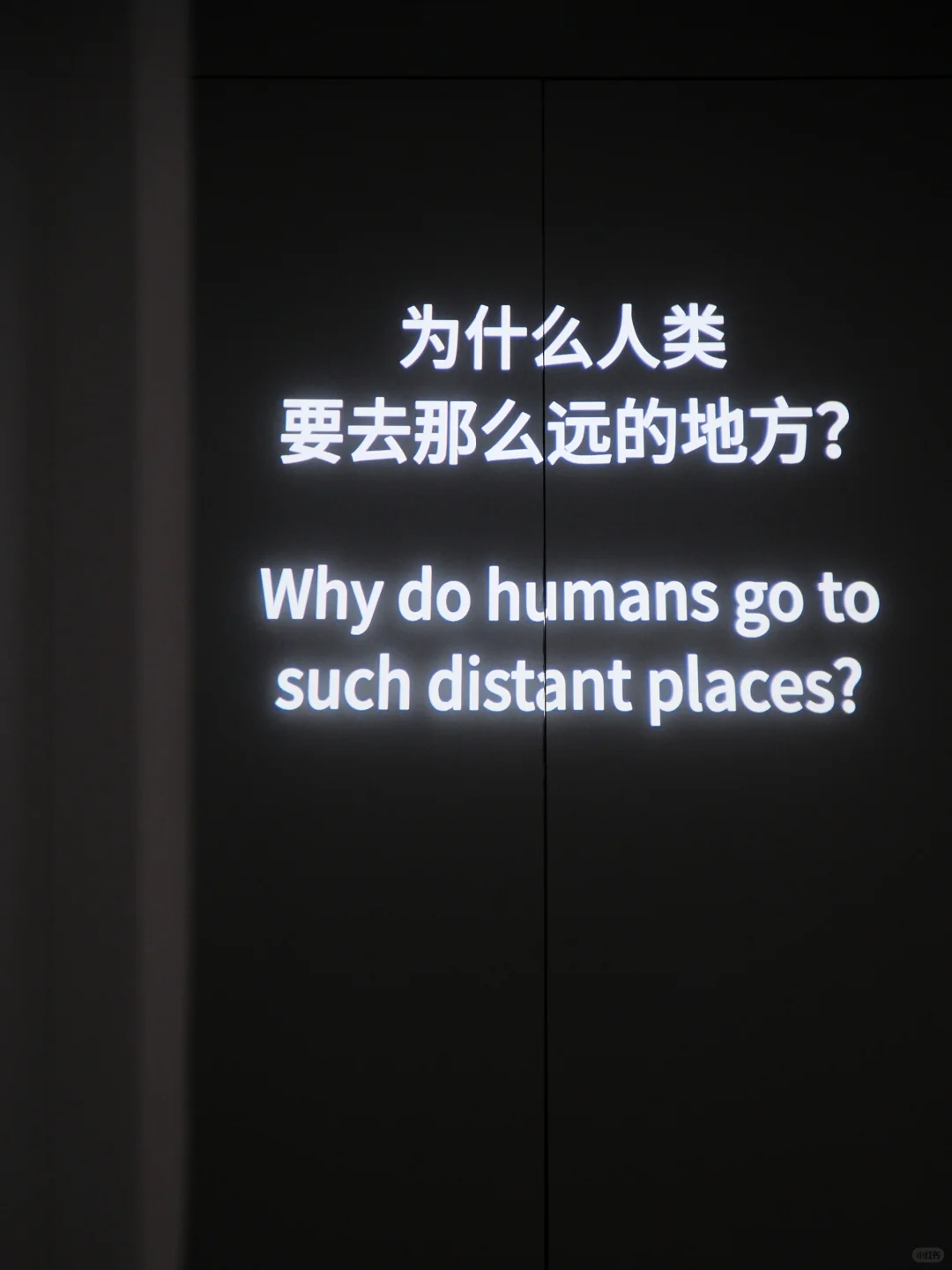 上海新展 | 人面对天空 总是向往再向往