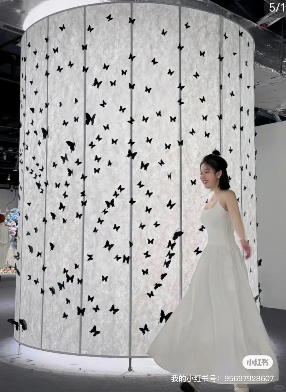 大连新展即将来袭!策展人请300位博主看展!