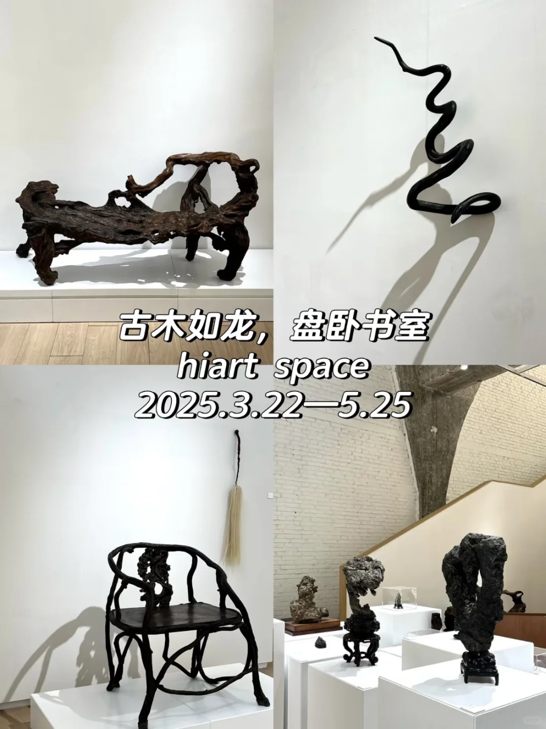 798艺术区4月免费展合集【下篇】加更‼?️地图
