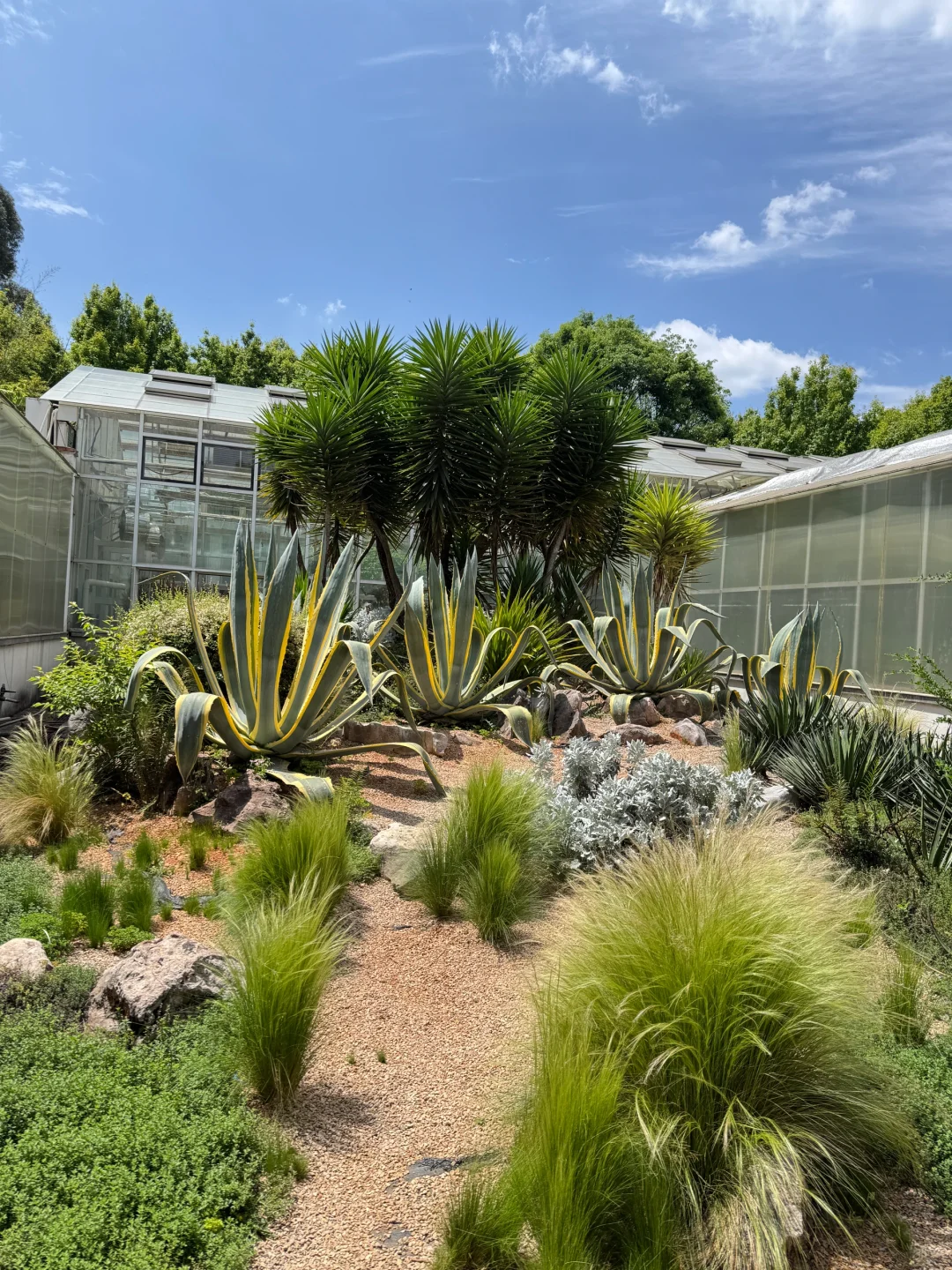 植物届的爱马仕！来对啦！昆明植物园兰花展