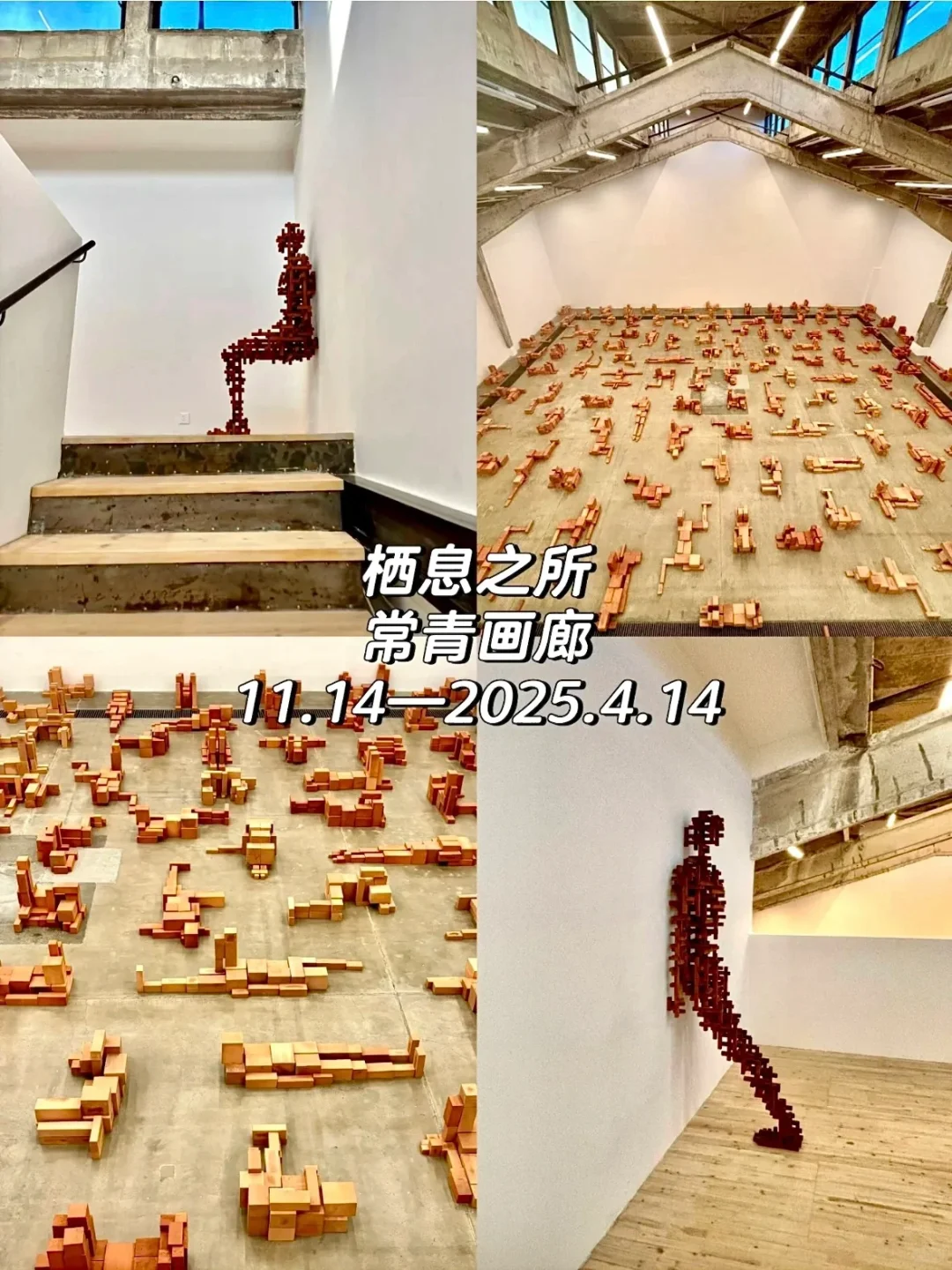 798艺术区4月免费展合集【下篇】加更‼?️地图