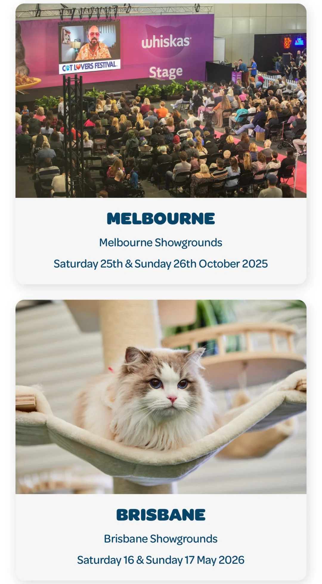 ?? Dog&Cat Lovers Festival 早鸟票冲啦