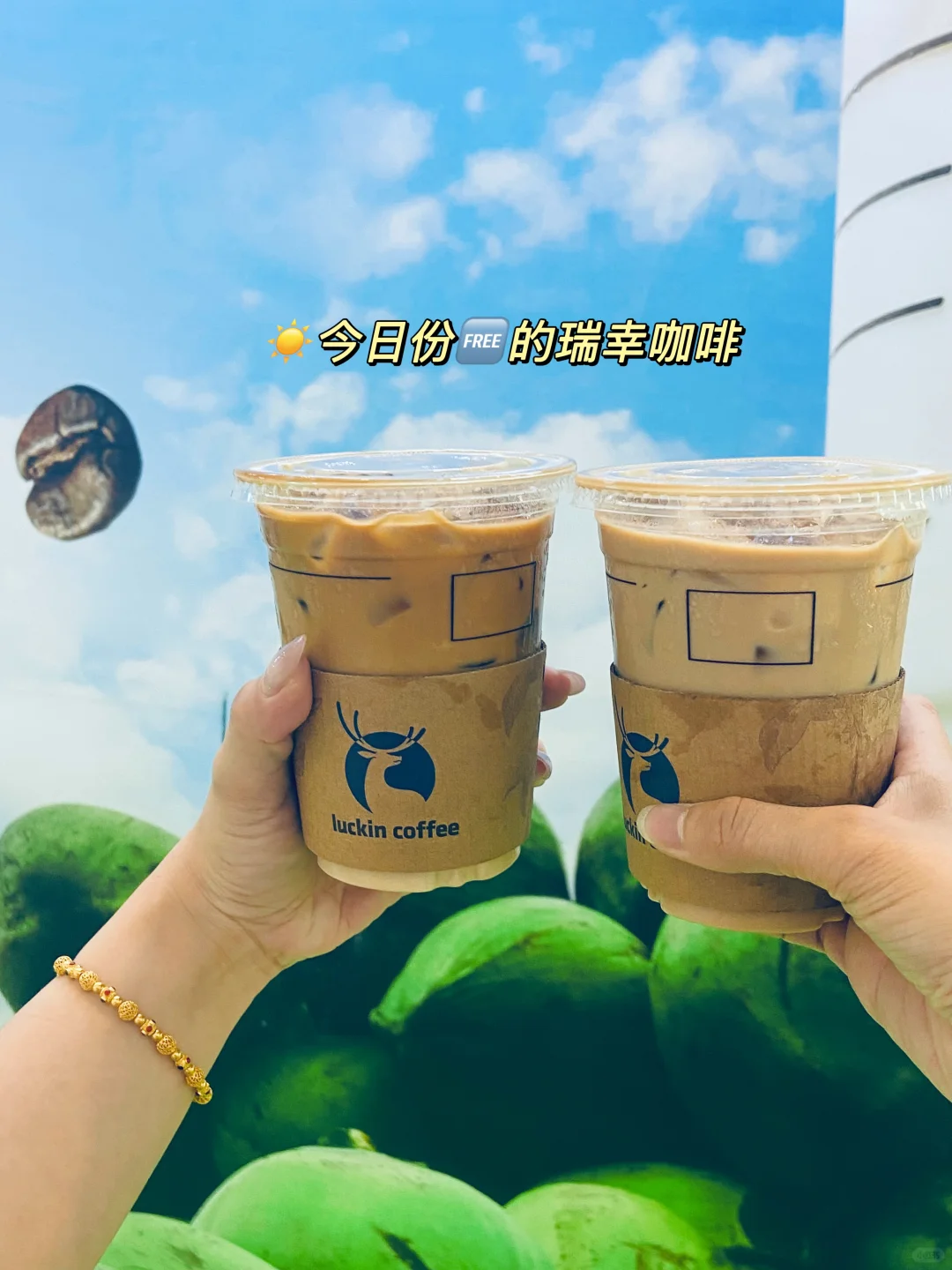 消博会暴走两天薅羊毛大作战