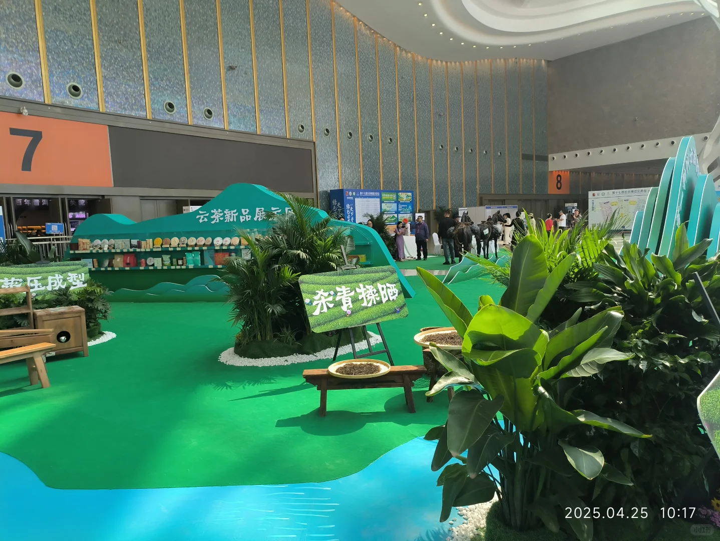 和上山喝茶一起逛云茶博览会