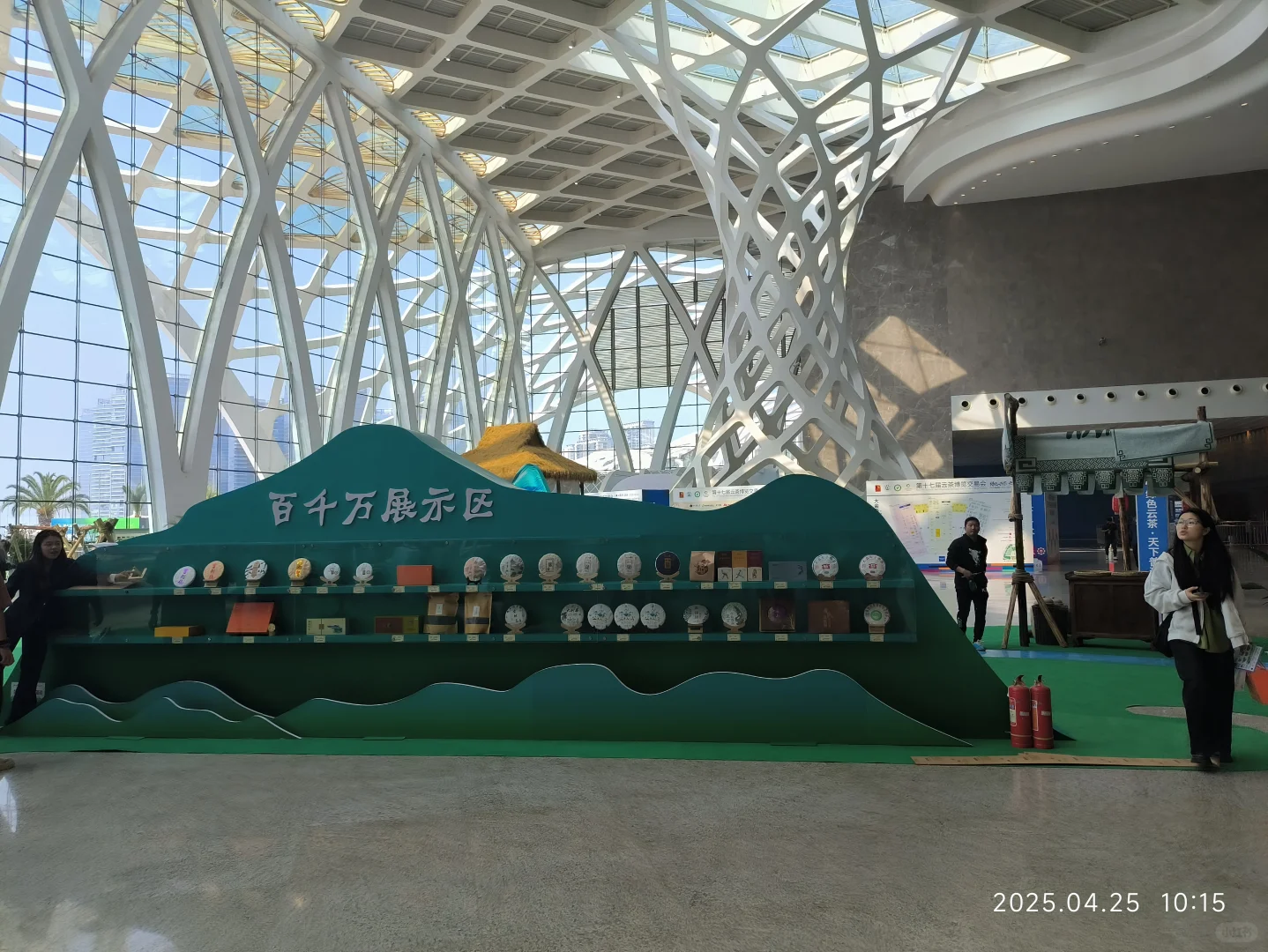 和上山喝茶一起逛云茶博览会