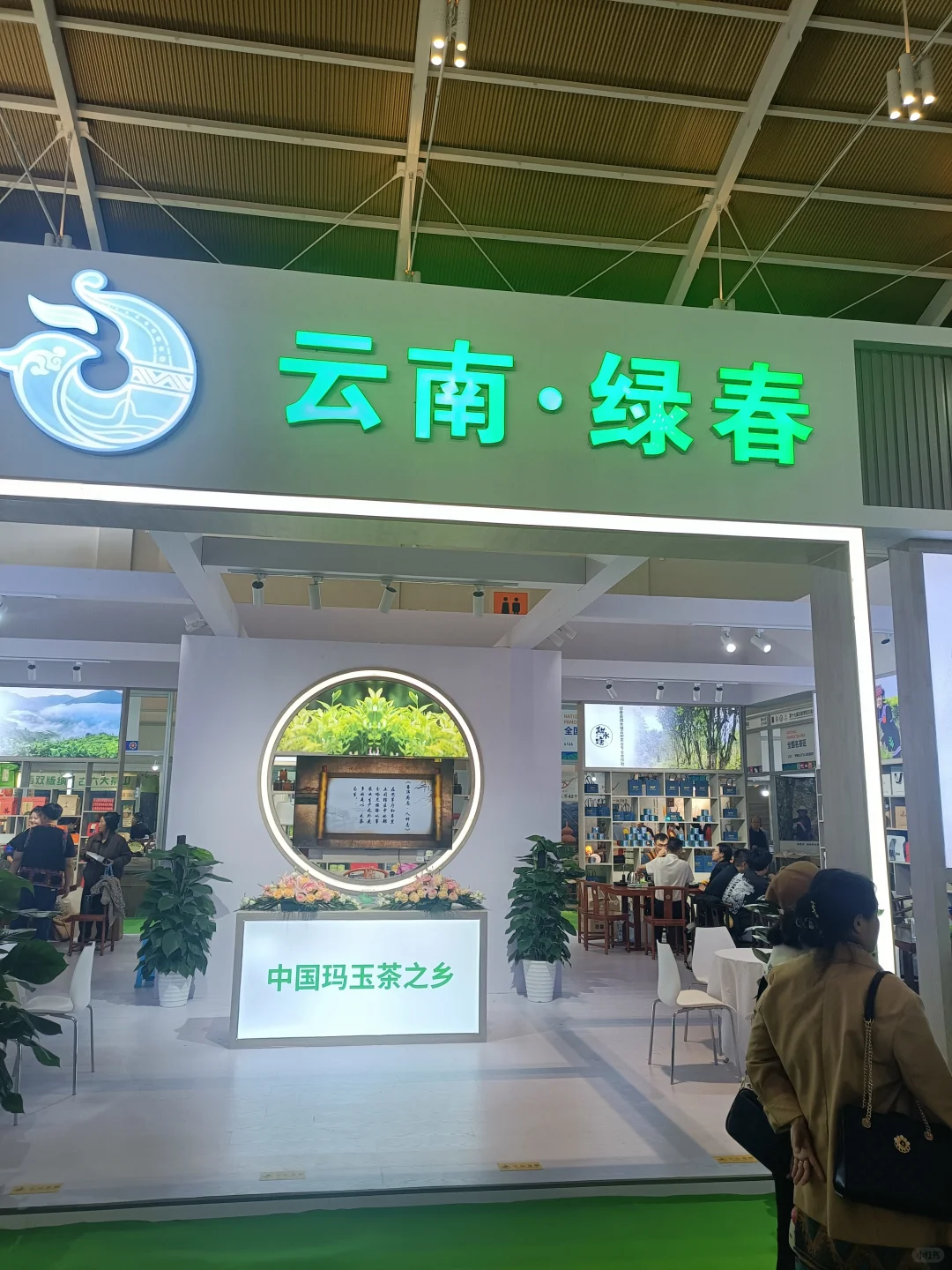 第十七届云茶博览会，替你们看了，还不错