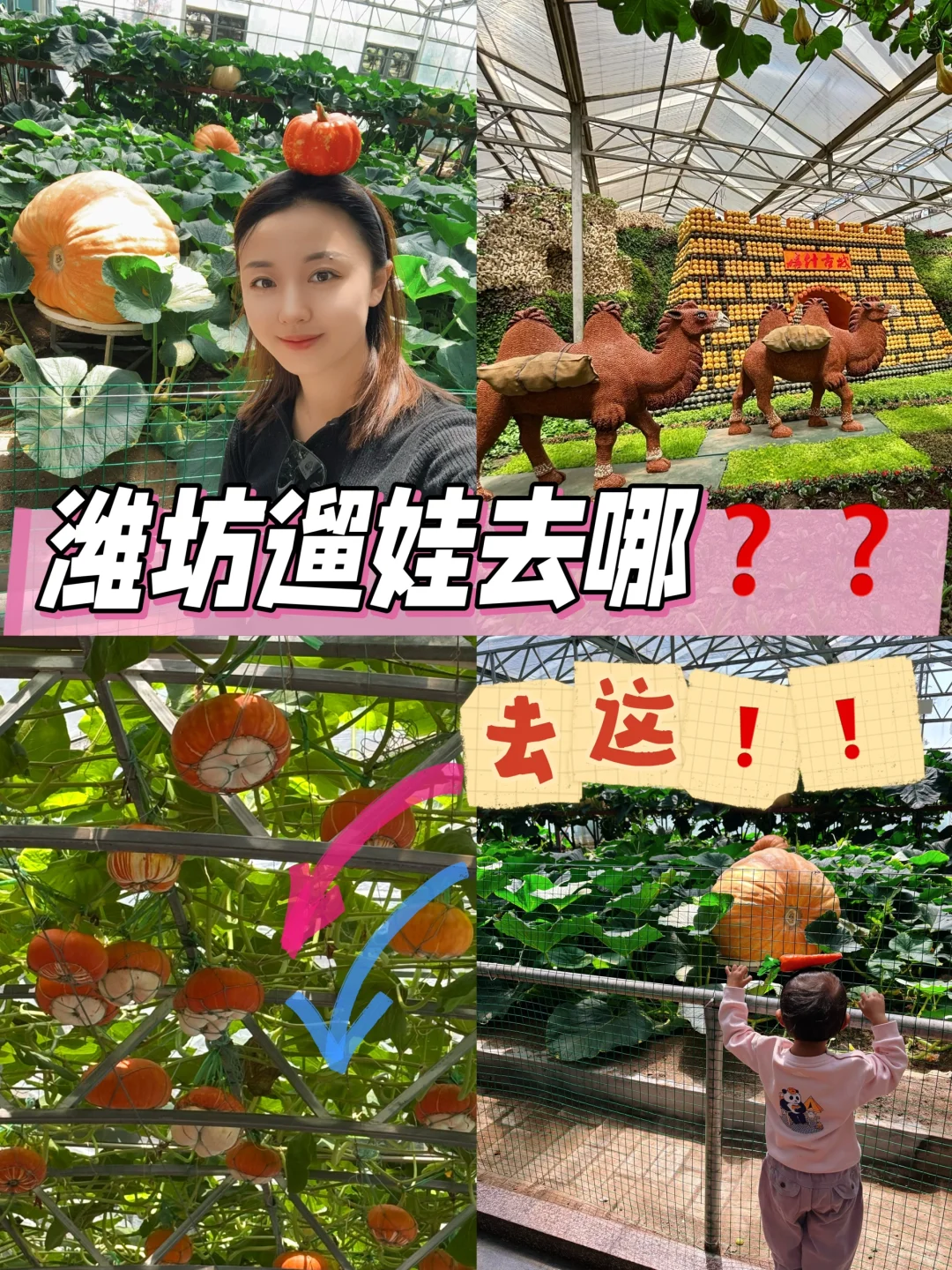 ?潍坊寿光蔬菜博览会保姆级攻略✅✅