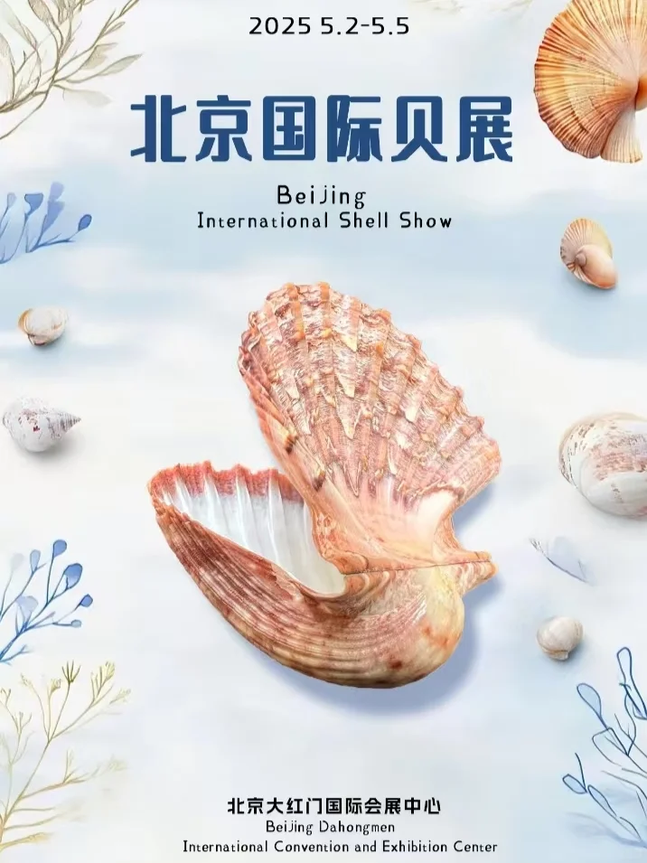 北京五一免费贝展｜10000+全球珍稀贝类