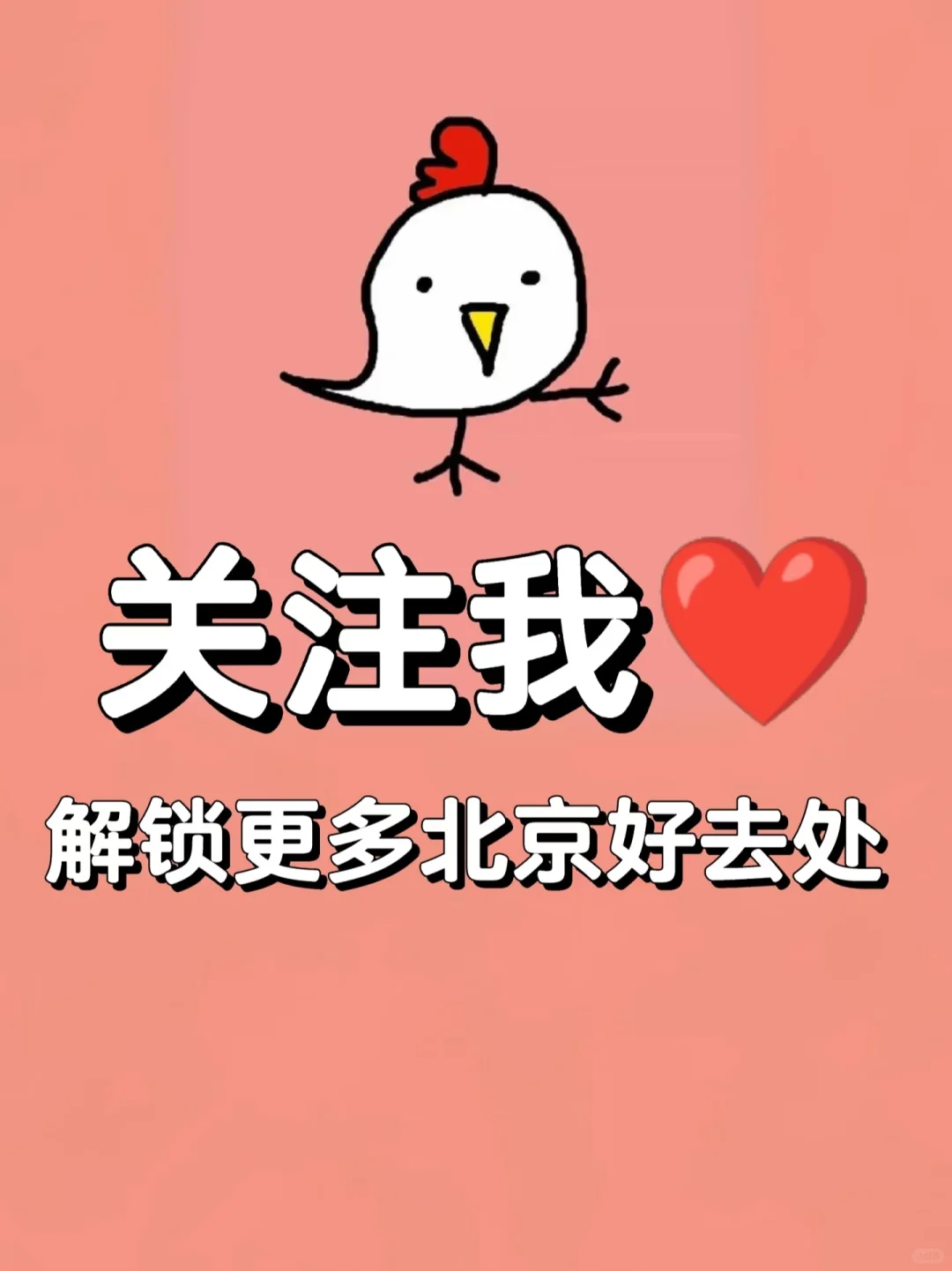 北京五一免费贝展｜10000+全球珍稀贝类
