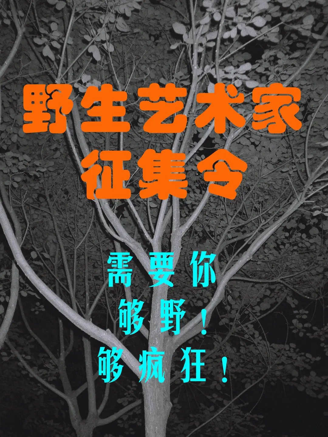 民间野生艺术家扶持展览！