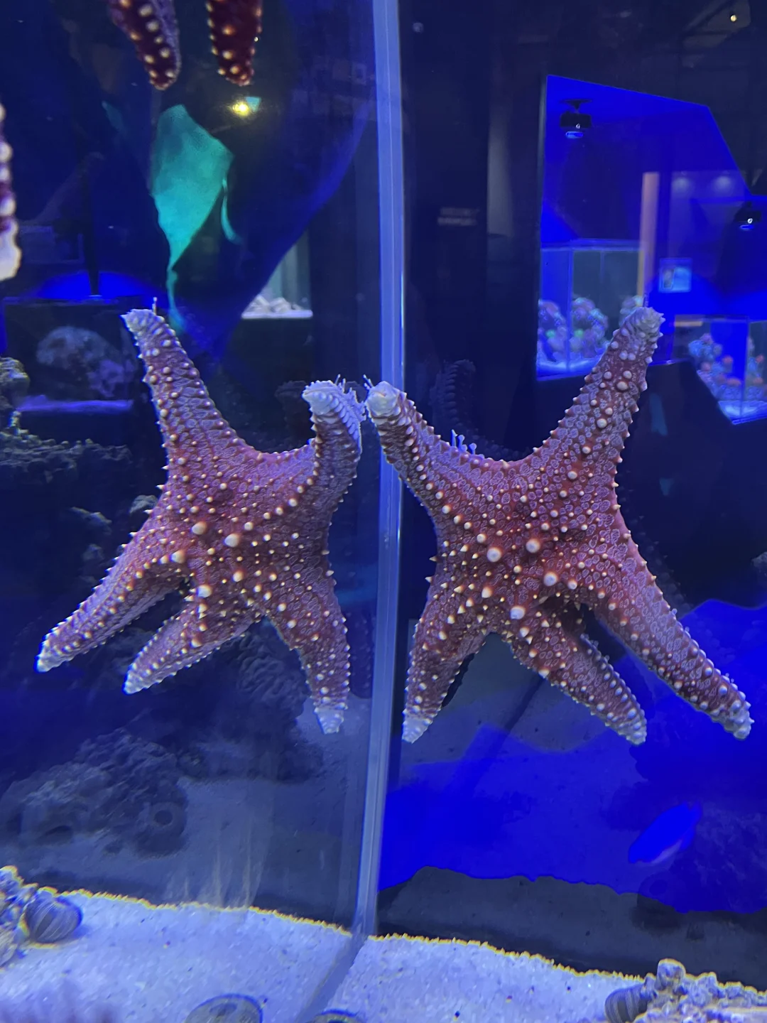全球首展‼️在厦门！内附看特展攻略?