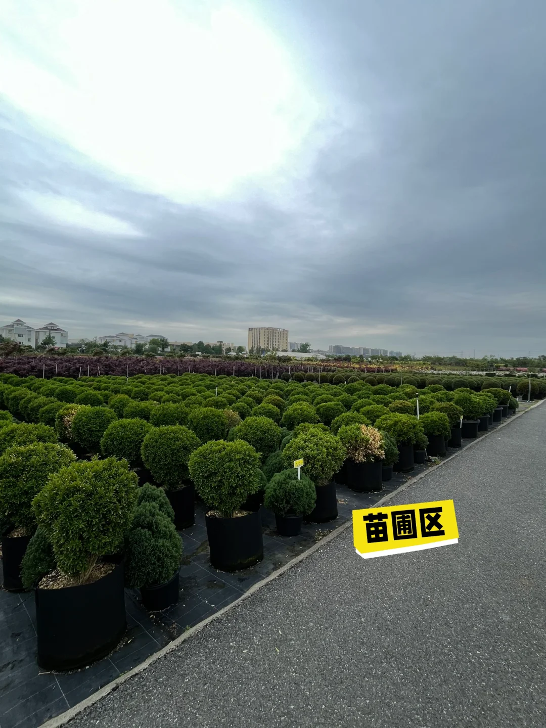 2025海宁世界花园大会｜第一天人就爆满了
