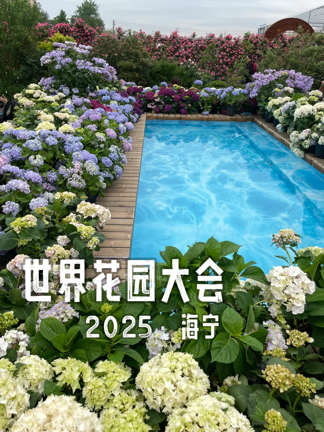 2025海宁世界花园大会｜第一天人就爆满了