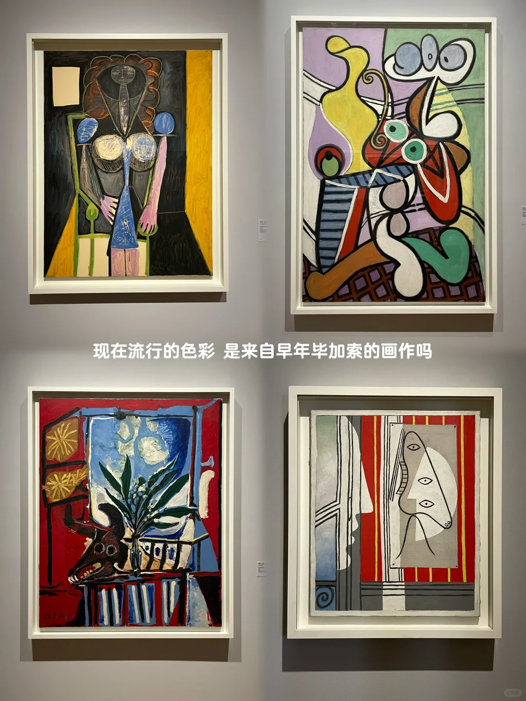 ??香港一天两展，从塞尚、雷诺阿到毕加索