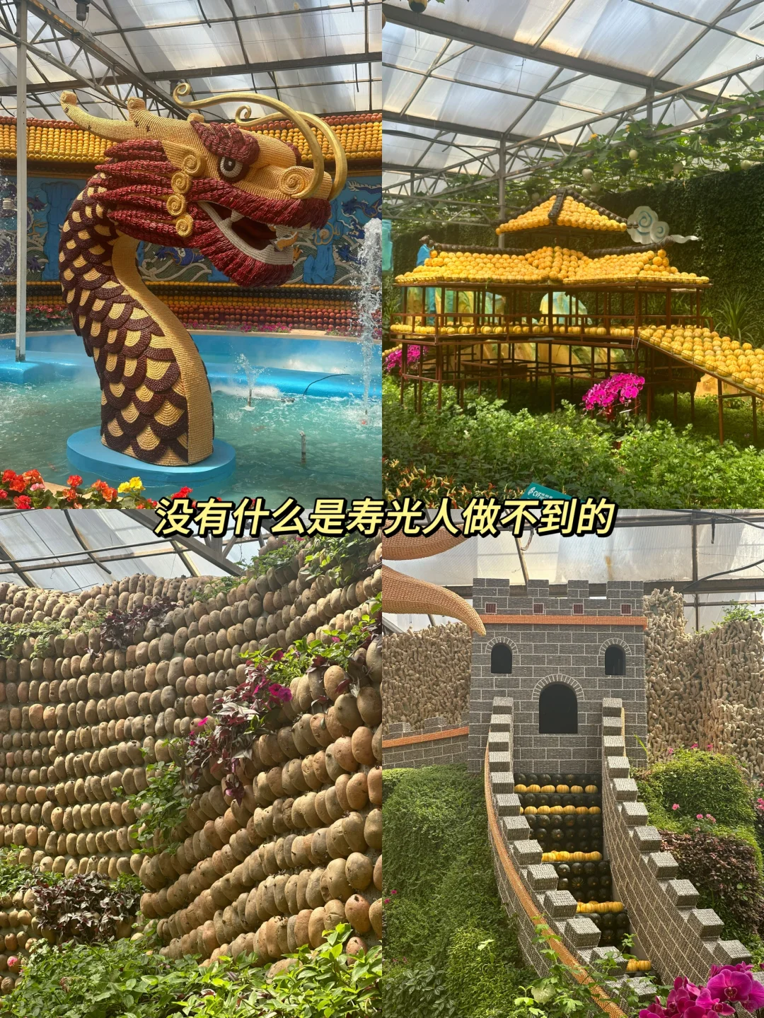 寿光蔬菜展