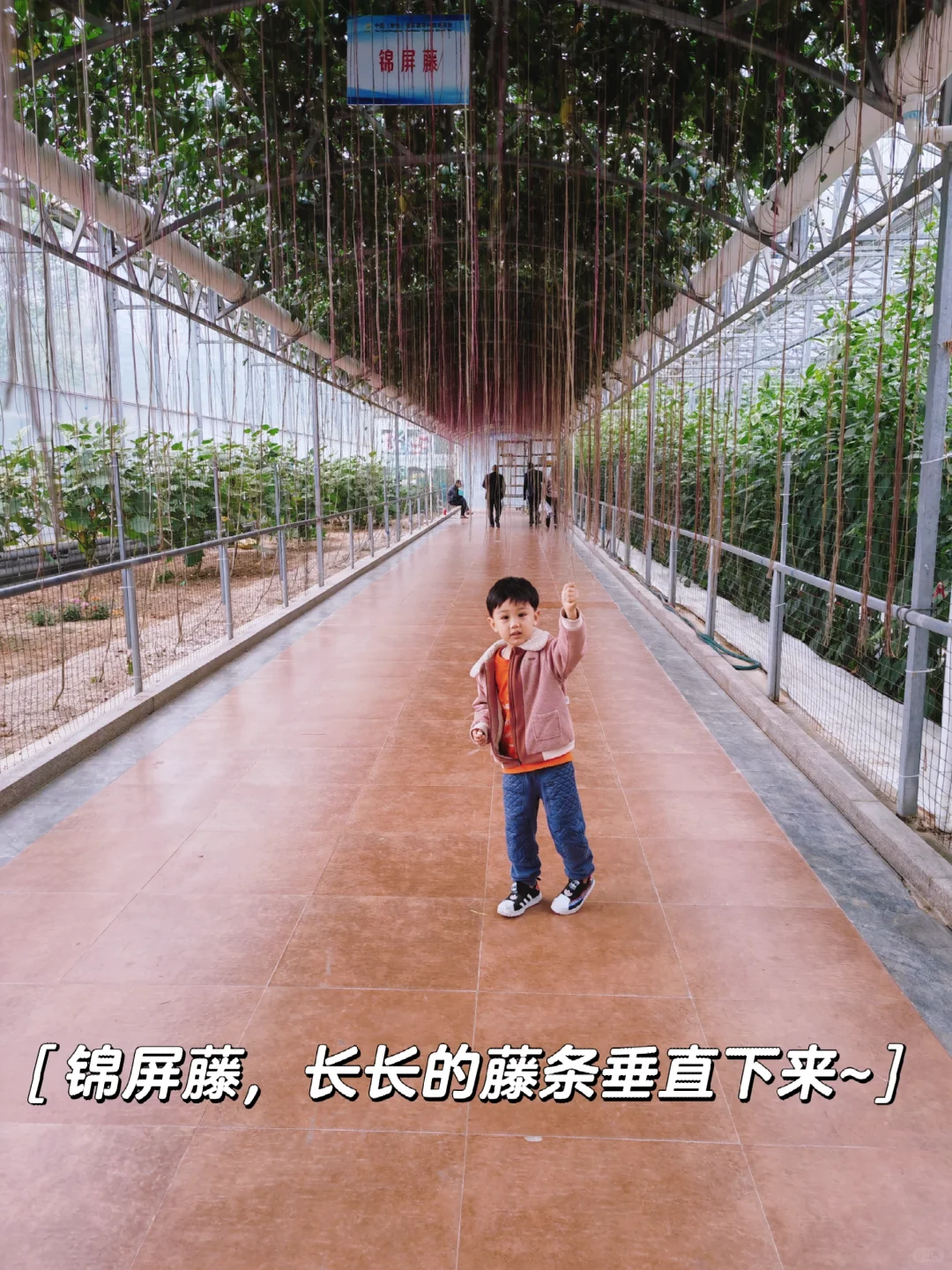 寿光菜博会，我们来啦