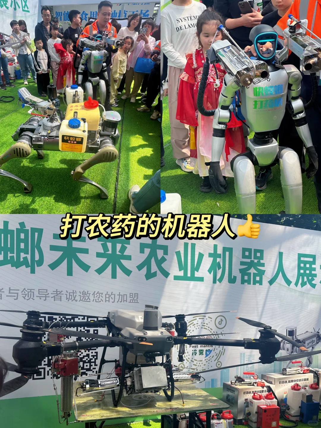寿光蔬菜展