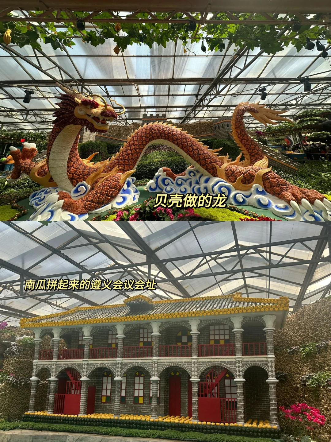 寿光蔬菜展
