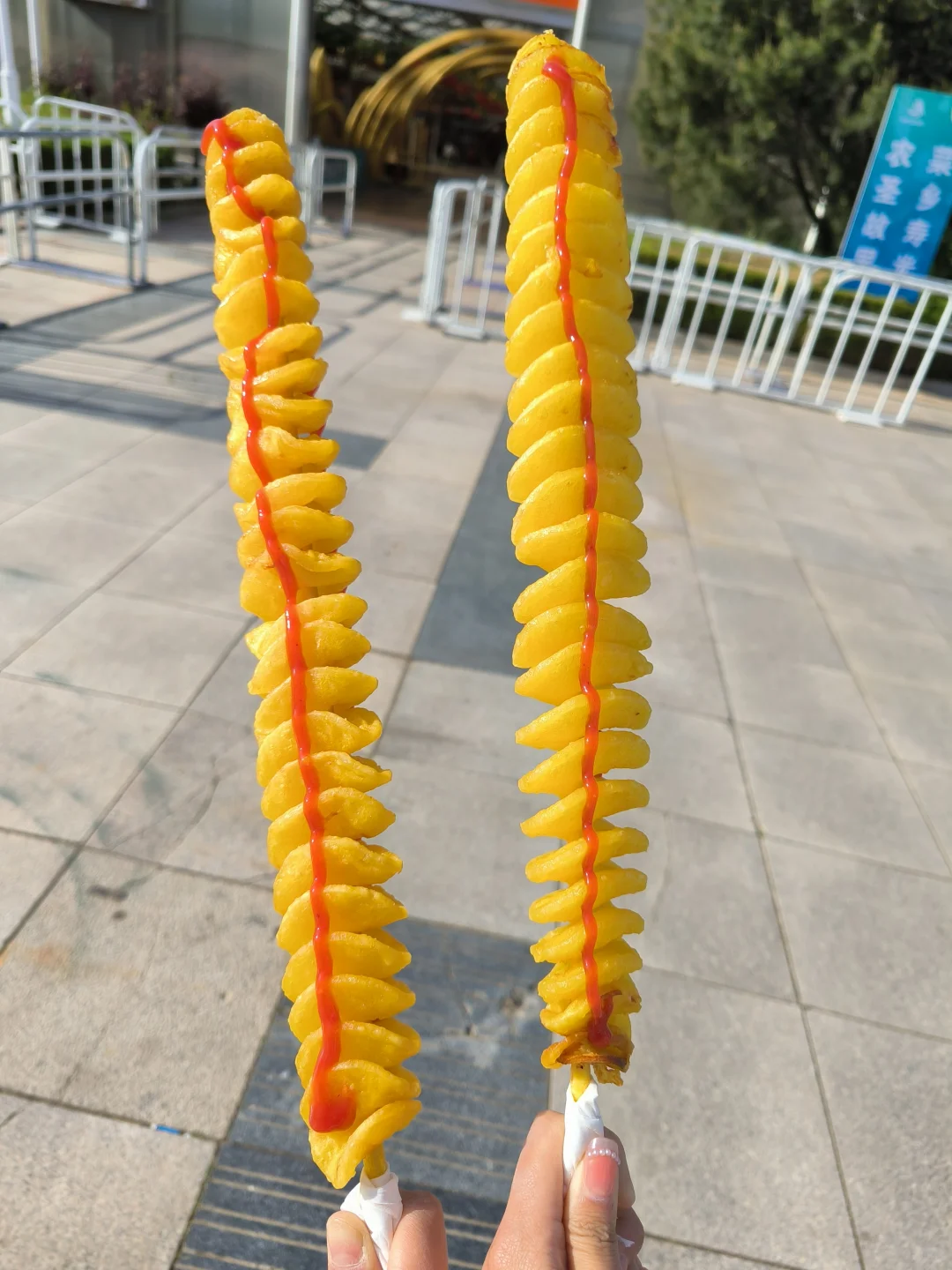菜博会兼职篇